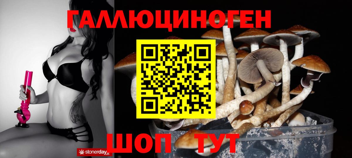 Псилоцибиновые грибы мицелий Урюпинск